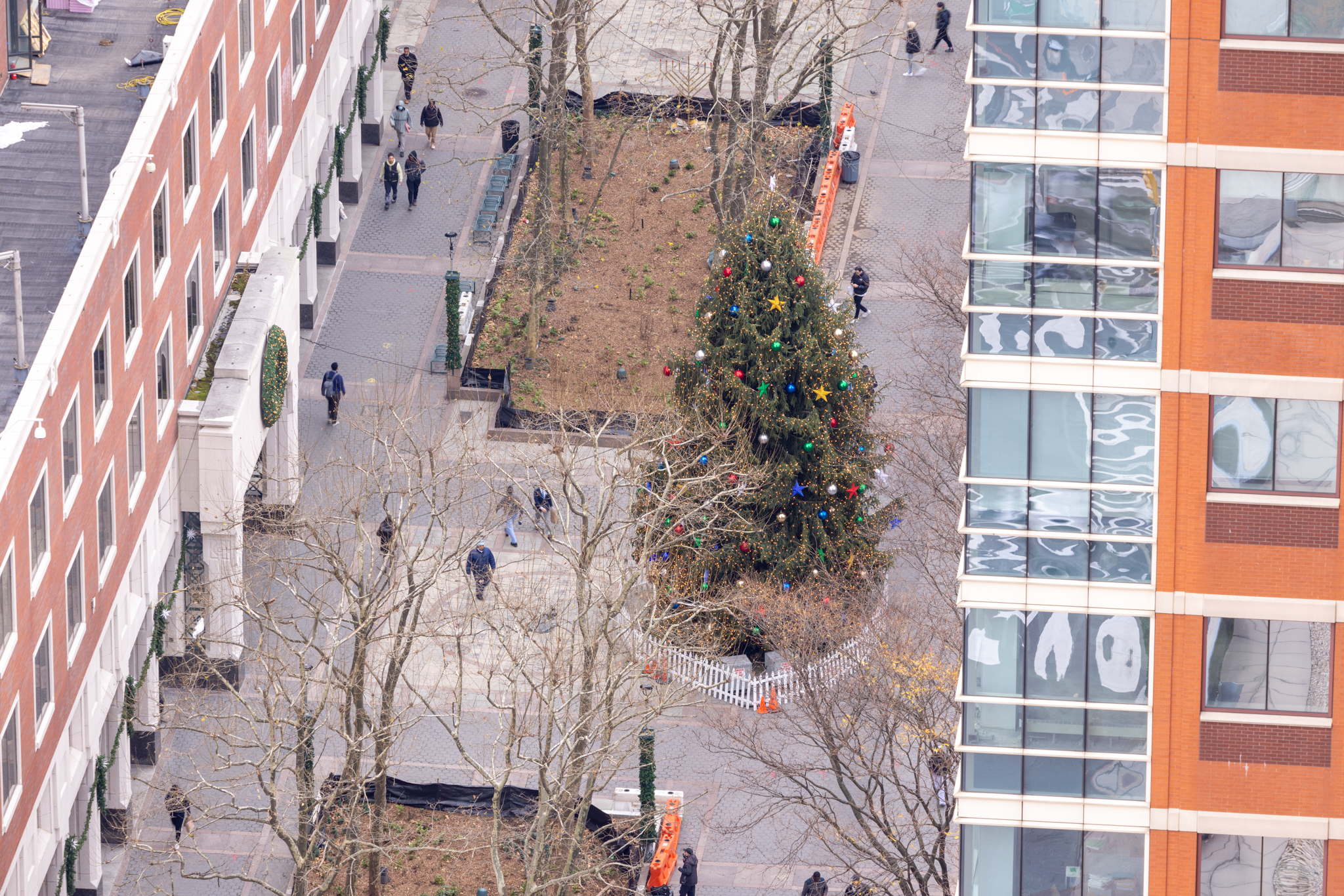 A Christmas tree at Brooklyn Commons photographed at 252mm